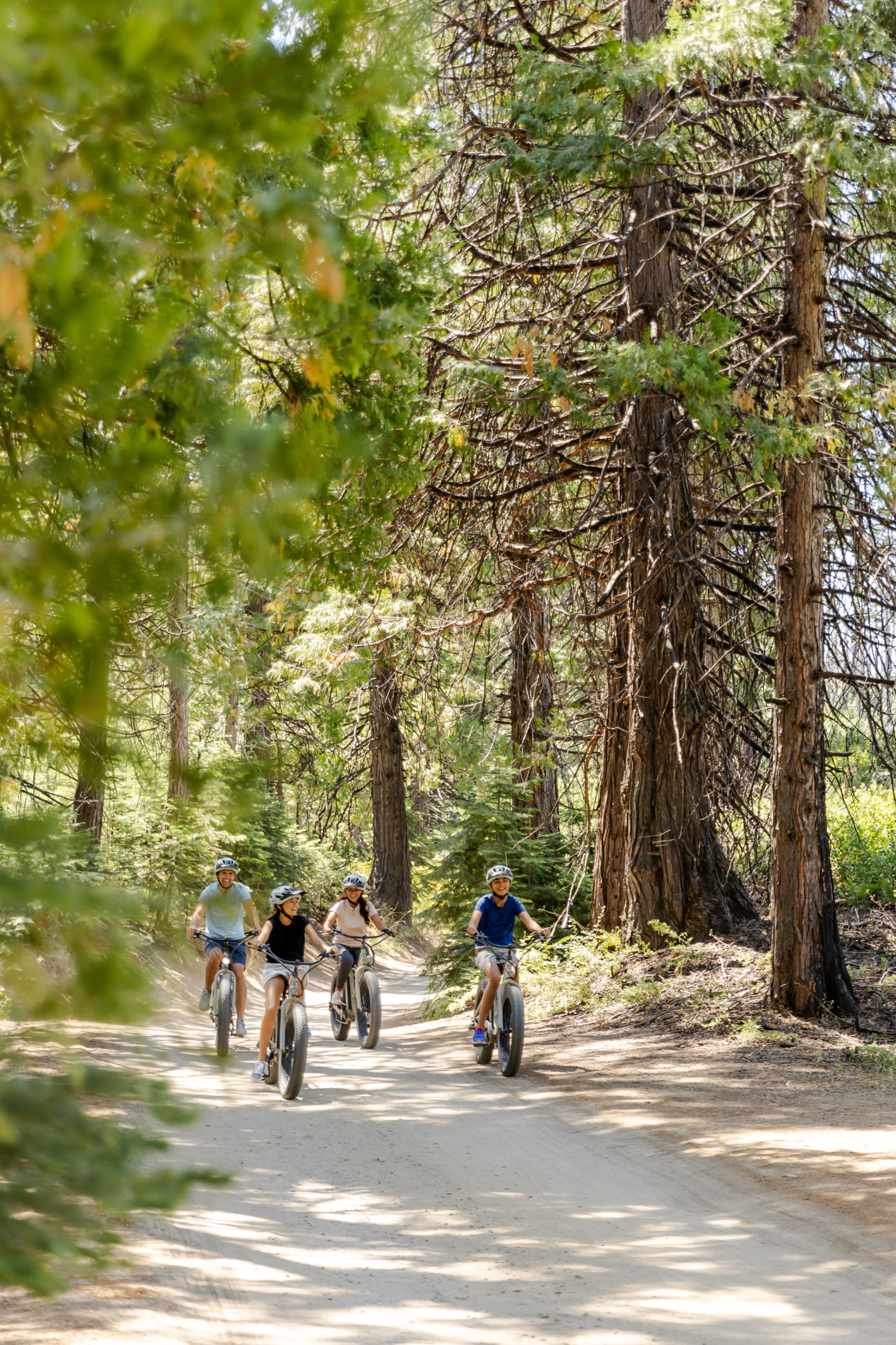Tenaya Lodge at Yosemite Image