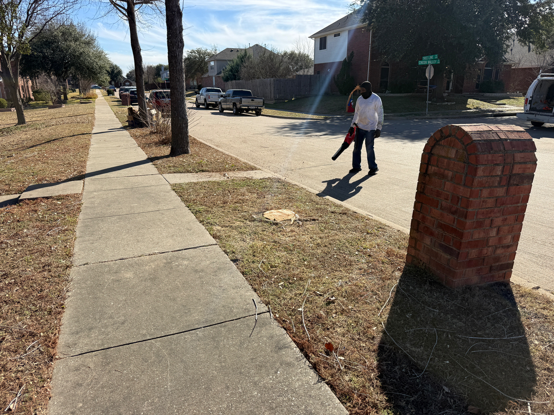 DFW Landscape & Lighting Solutions Image