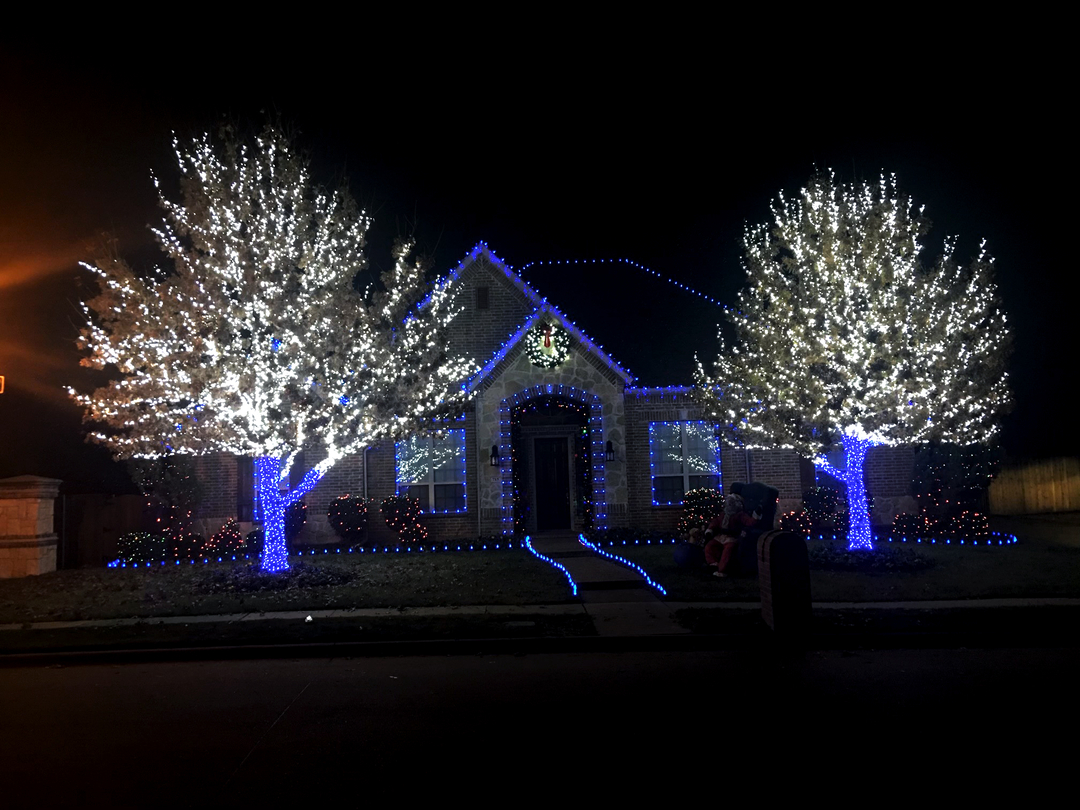 DFW Landscape & Lighting Solutions Image