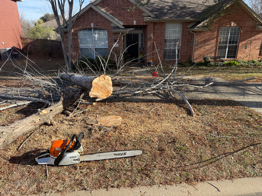 DFW Landscape & Lighting Solutions Image