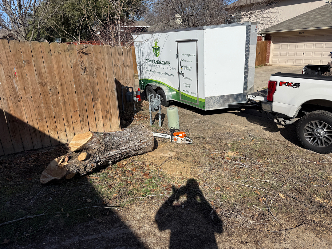 DFW Landscape & Lighting Solutions Image