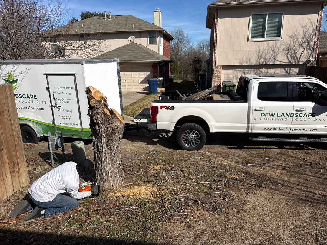 DFW Landscape & Lighting Solutions Image