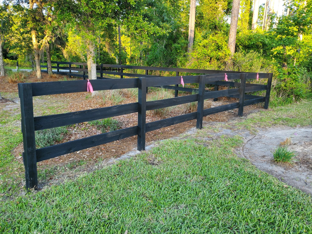 North Florida Painters Image