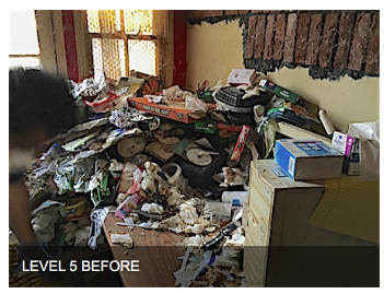 Clutter & Hoarding Pros - Long Beach, CA