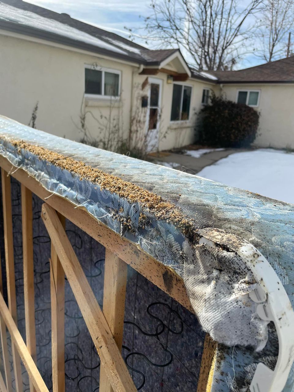 Thermal Clean - Westminster, CO