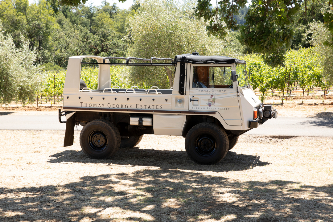 Thomas George Estates Image