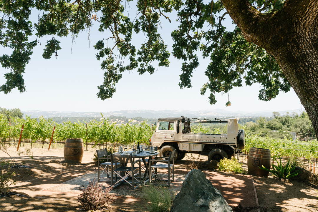 Thomas George Estates Image