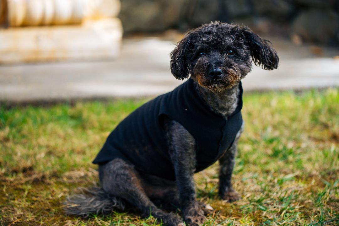 Thomas George Estates Image