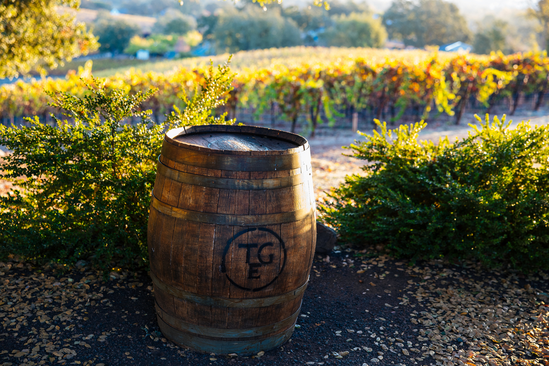 Thomas George Estates Image