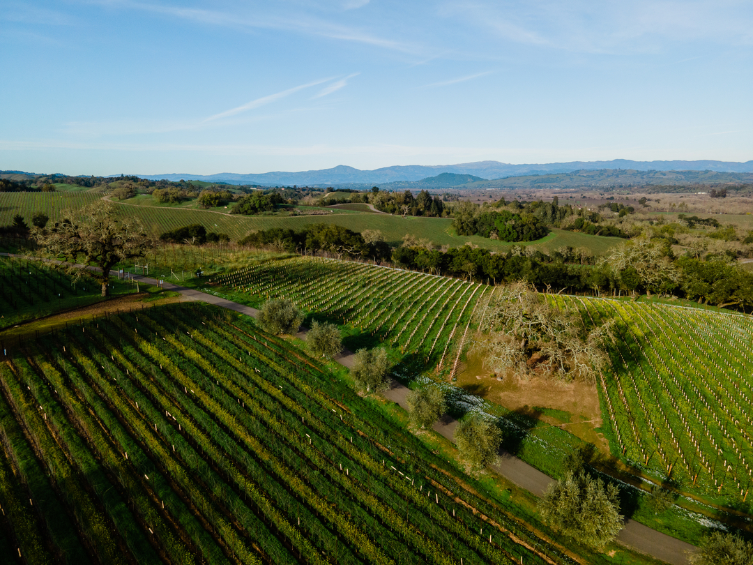 Thomas George Estates Image