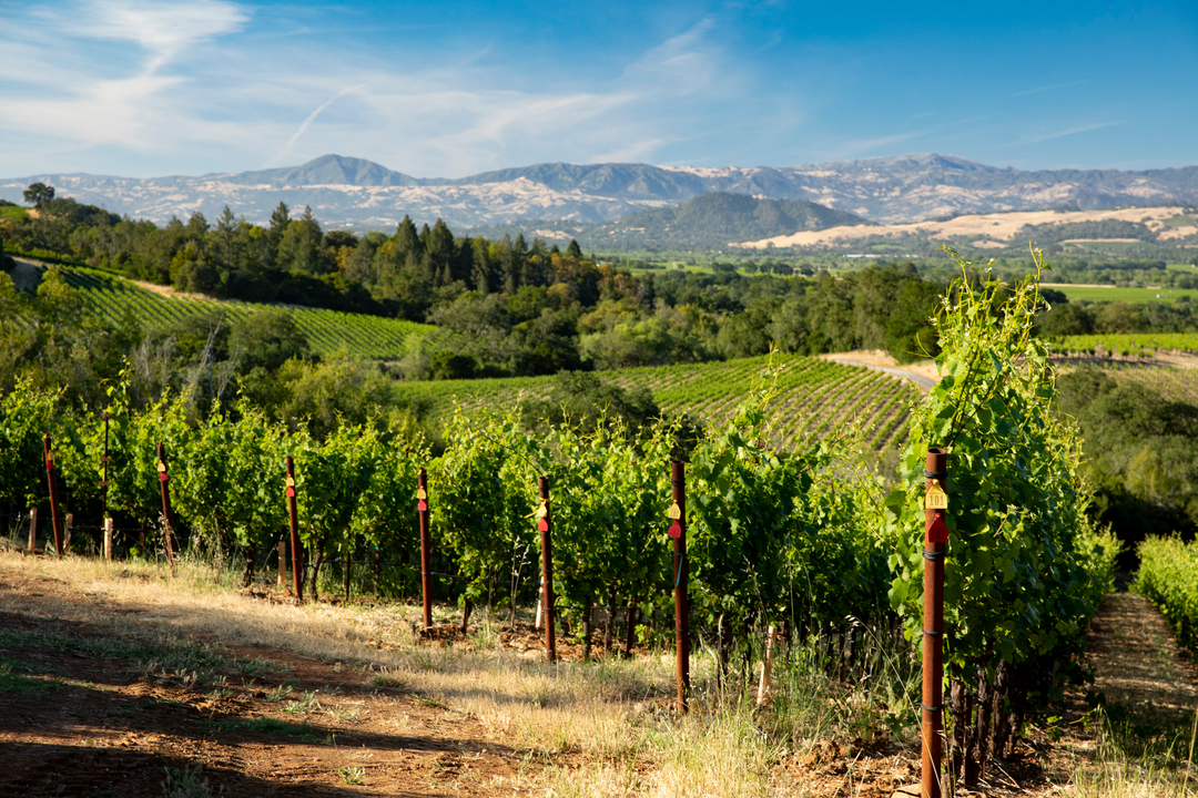 Thomas George Estates Image