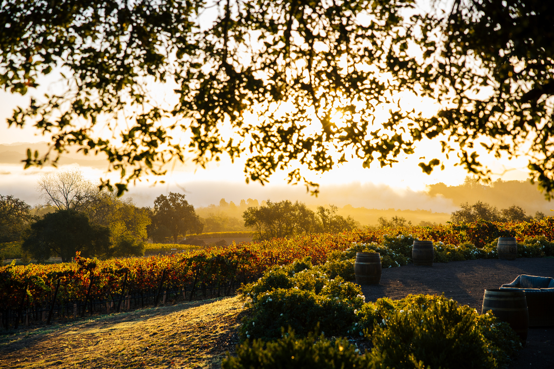 Thomas George Estates Image