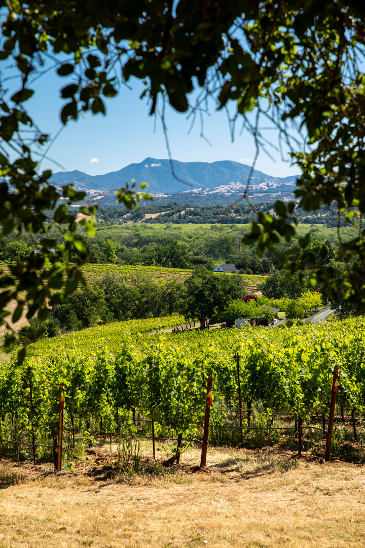 Thomas George Estates Image