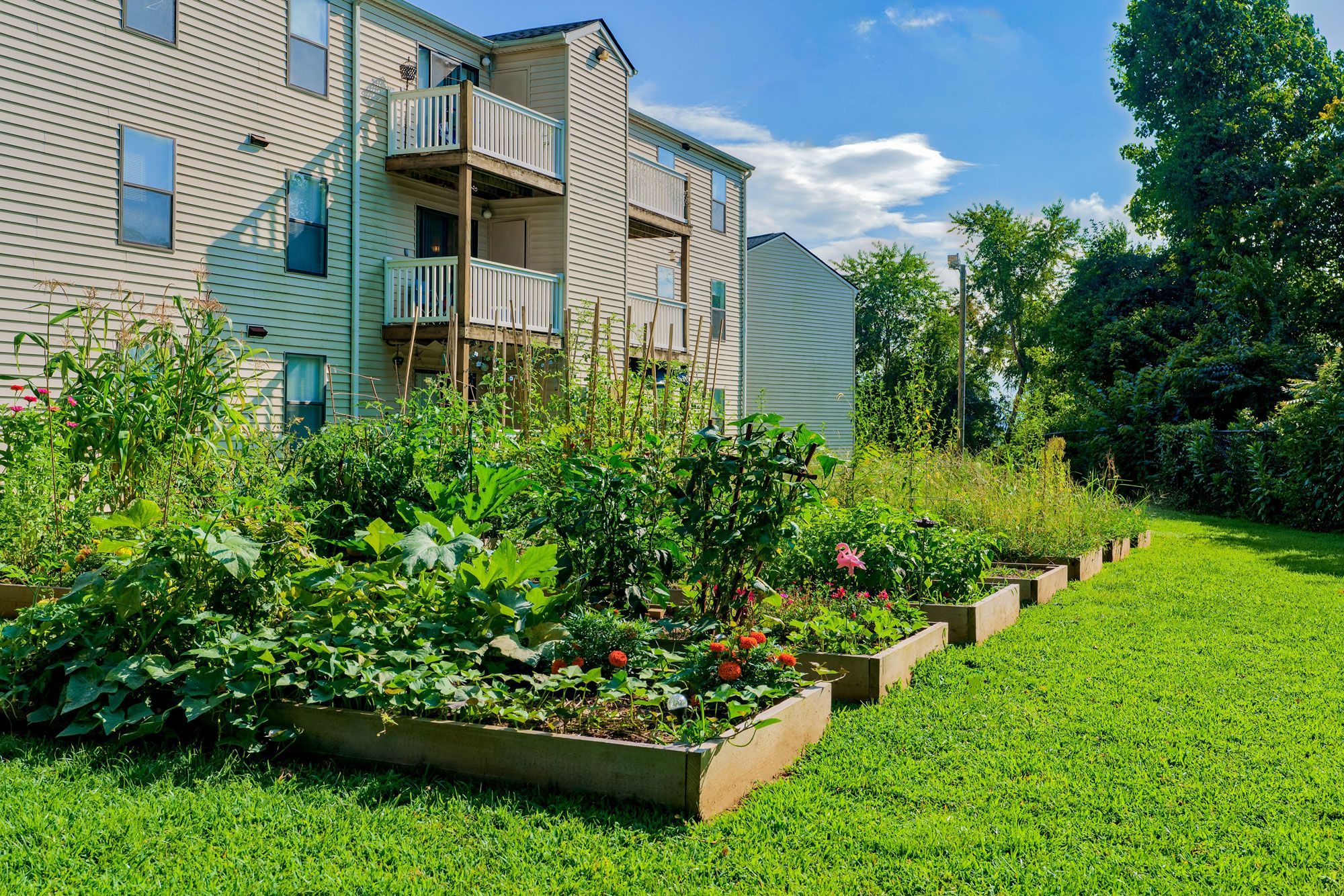 Woodberry Apartments - Asheville, NC