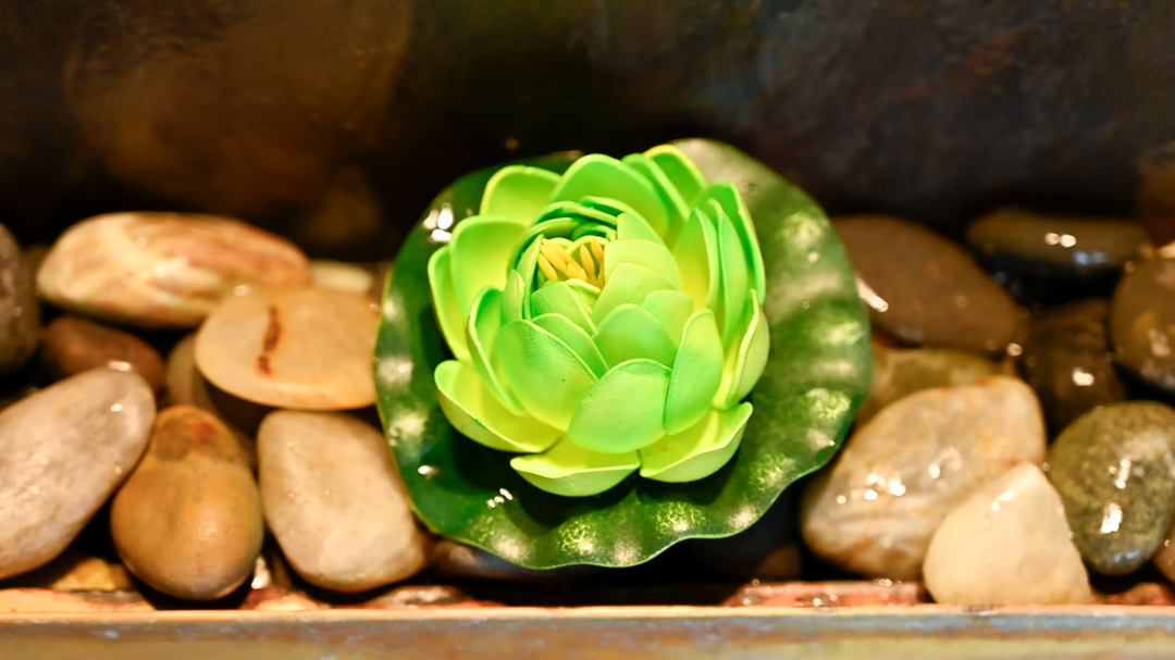 Li's Massage Therapy and Reflexology - Littleton, CO