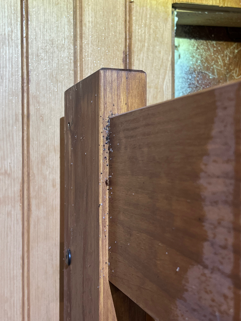 Tristate Bedbug Dogs - New York, NY