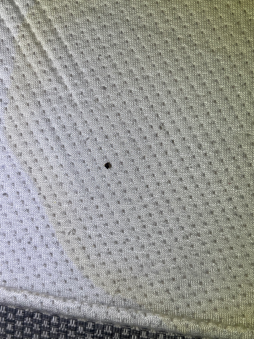 Tristate Bedbug Dogs - New York, NY