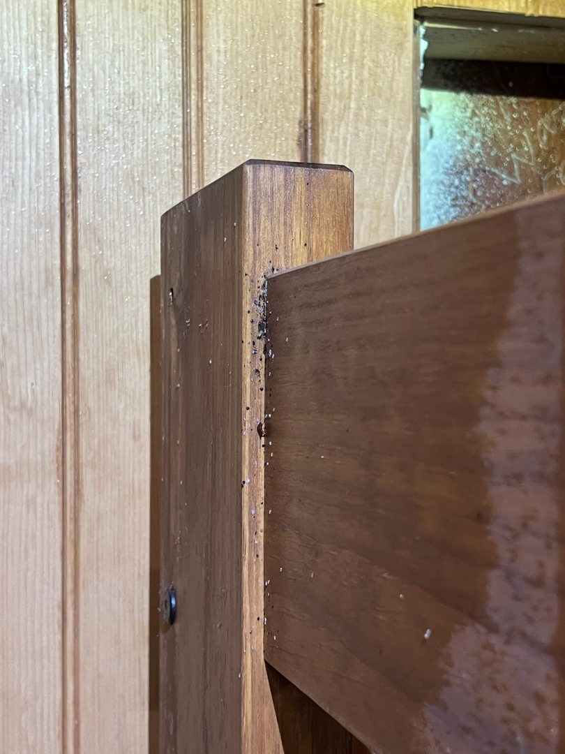 Tristate Bedbug Dogs - New York, NY
