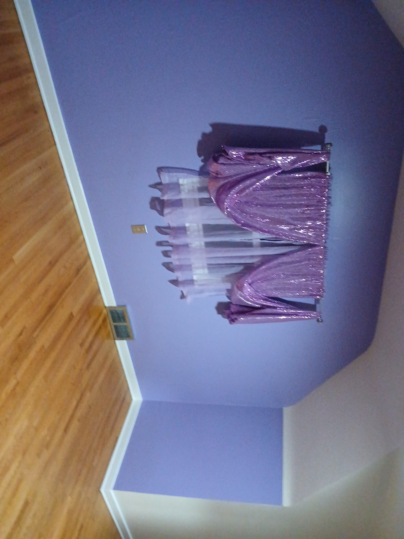 Cardinal Painting Pros Image