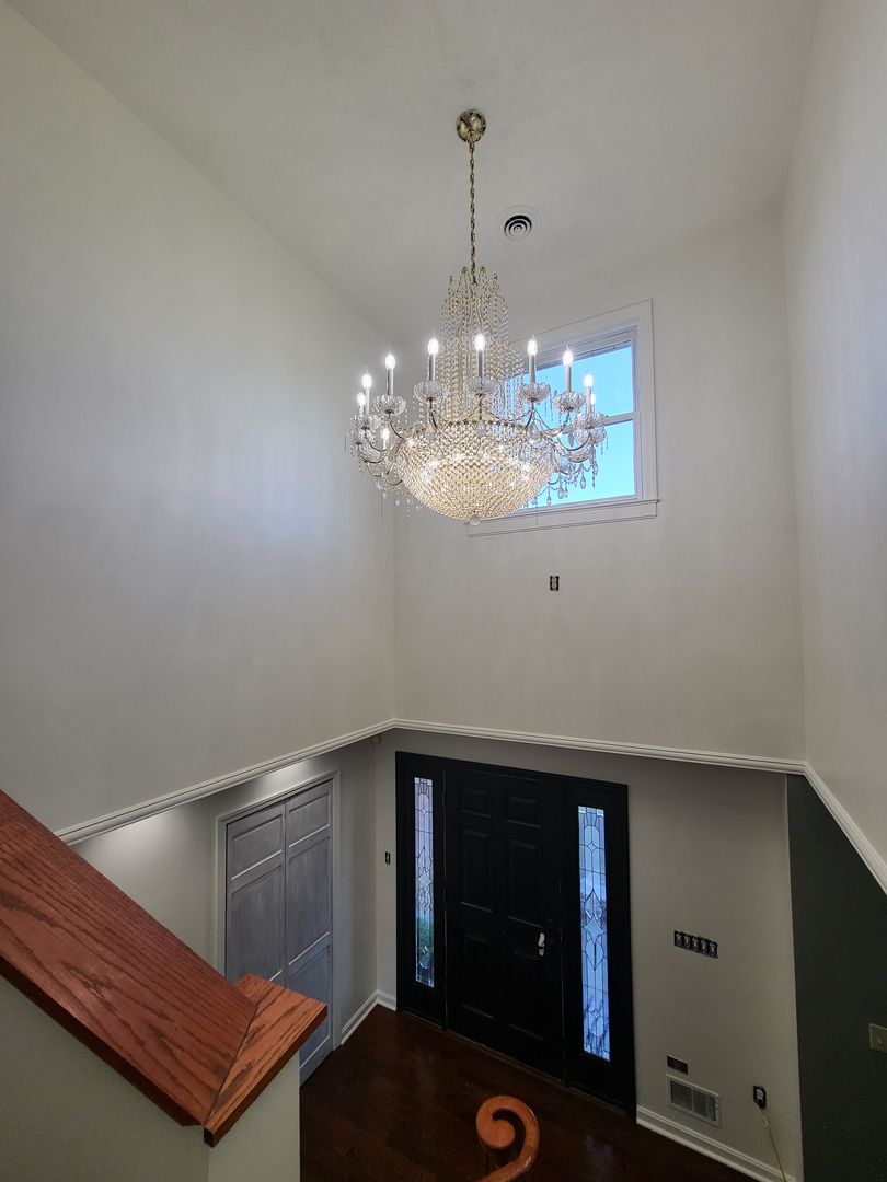 Cardinal Painting Pros Image