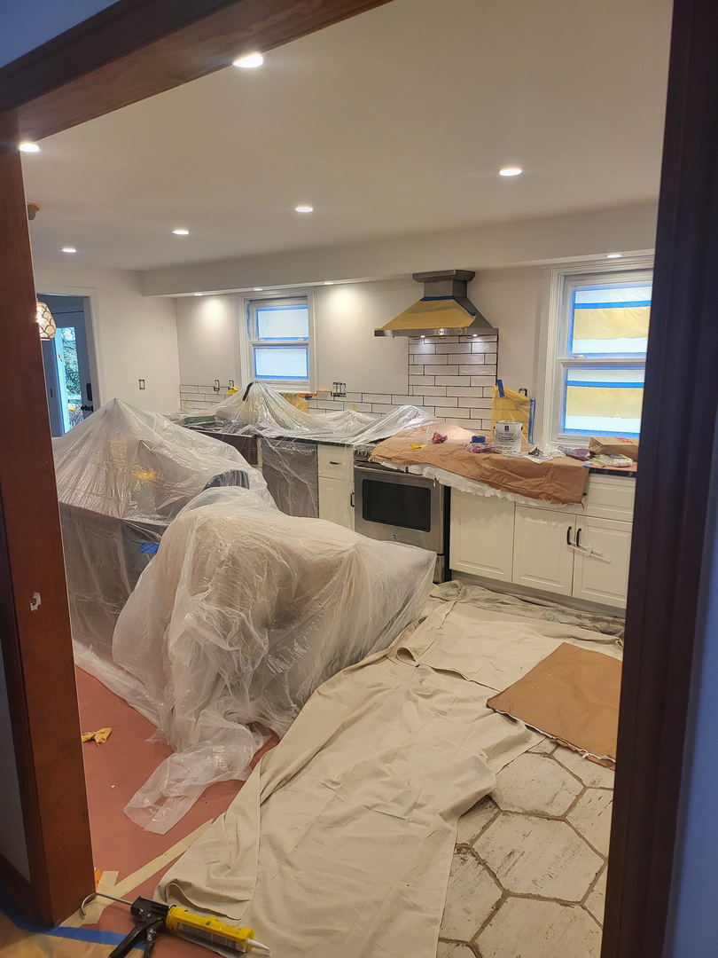 Cardinal Painting Pros Image