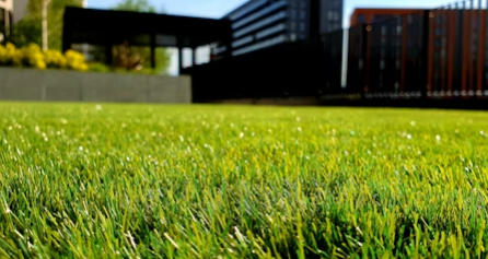 GTO Landscaping LLC Image