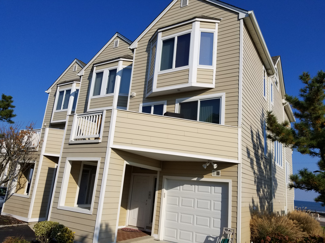 Grey Wolf Painting, Llc Image