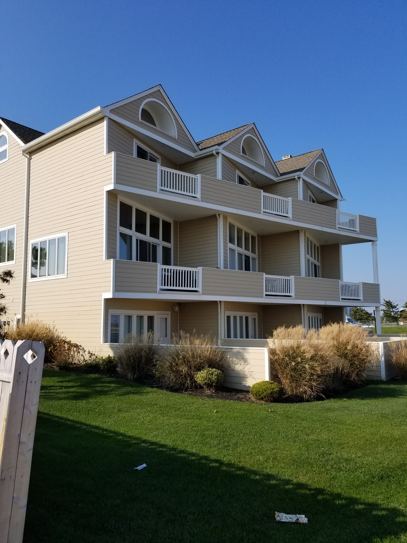 Grey Wolf Painting, Llc Image