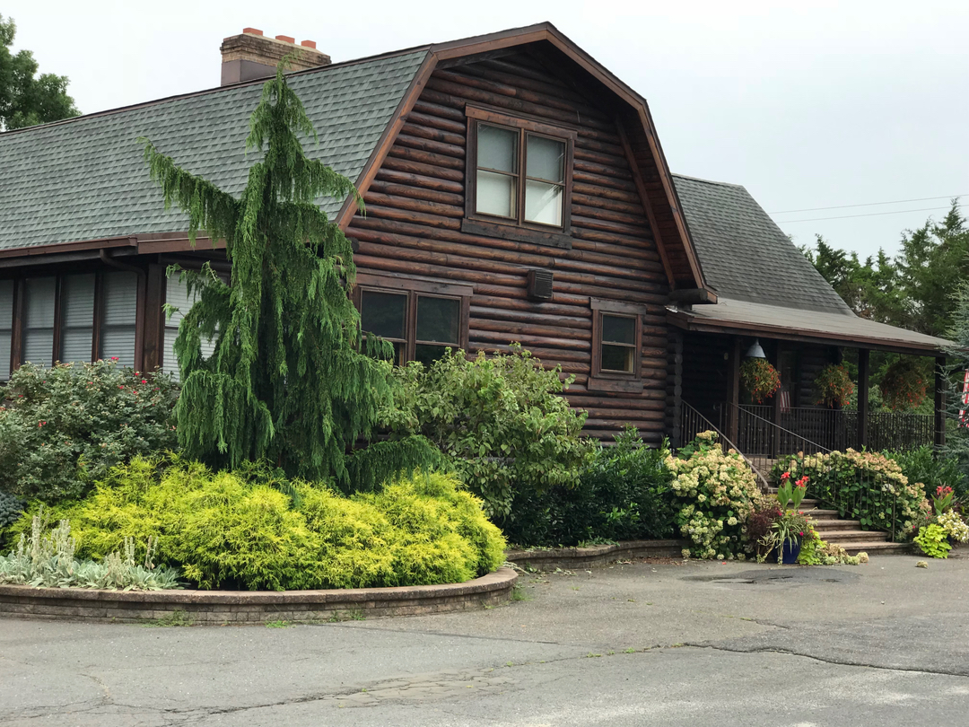 Grey Wolf Painting, Llc Image