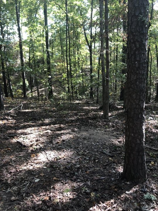 Good News Junk Removal Image