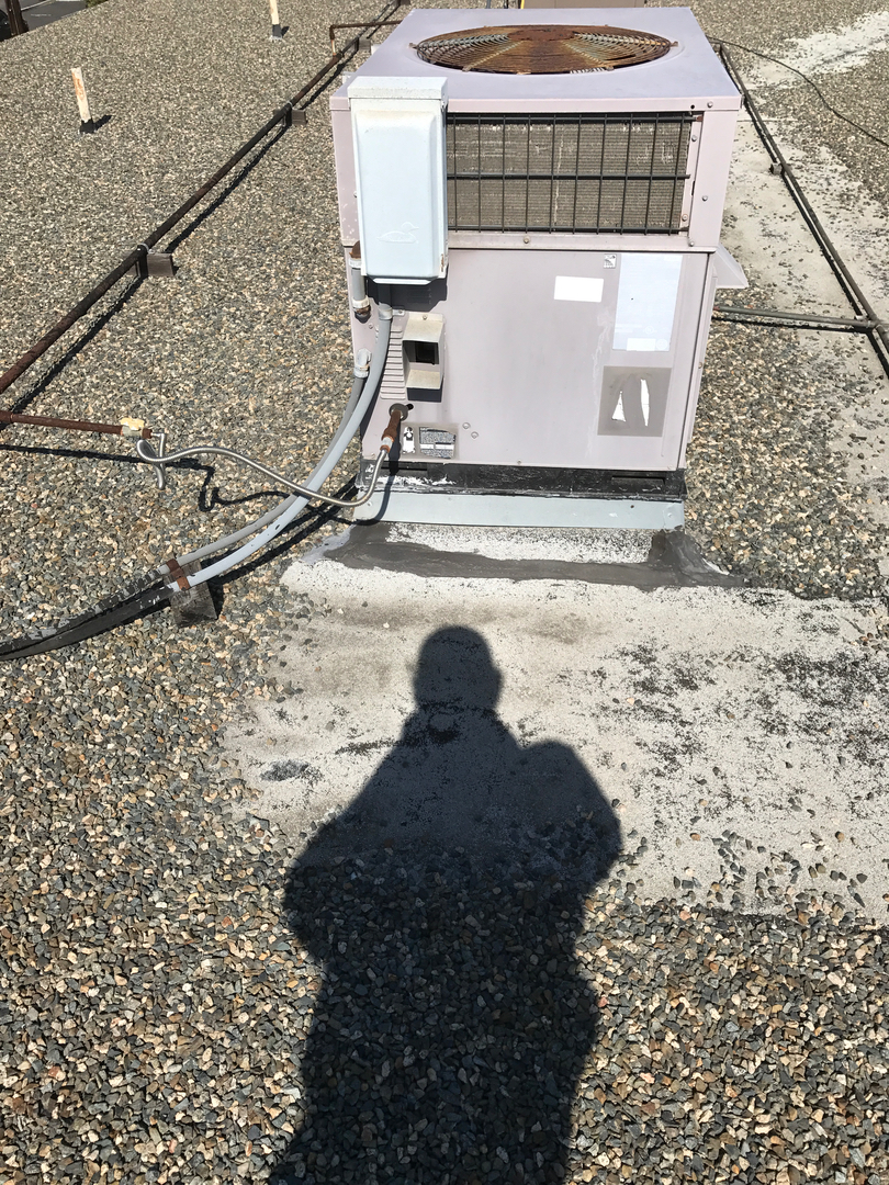 Delightful Duck Cooling and Heating Image