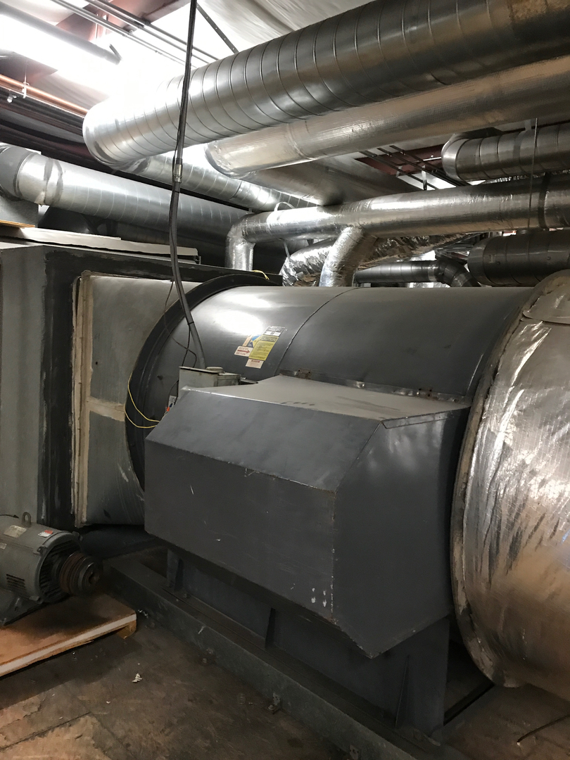 Delightful Duck Cooling and Heating Image