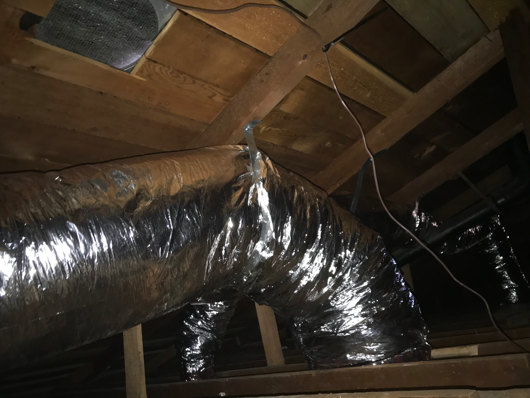 Delightful Duck Cooling and Heating Image