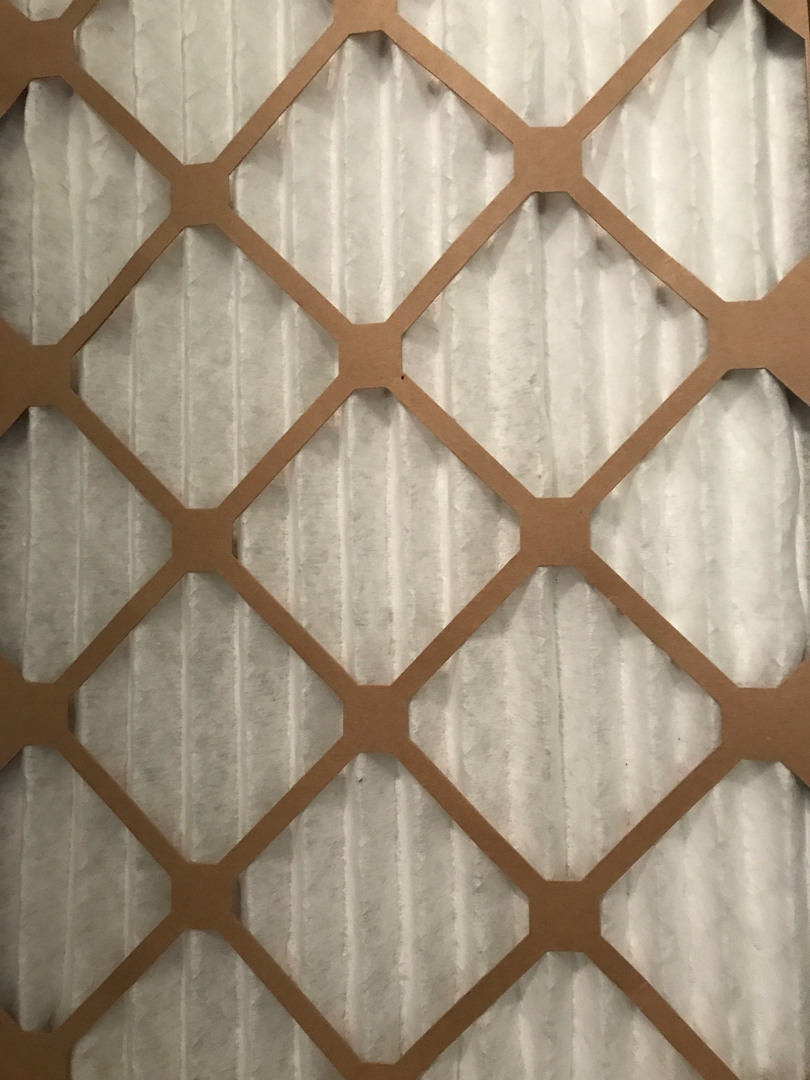 Delightful Duck Cooling and Heating Image