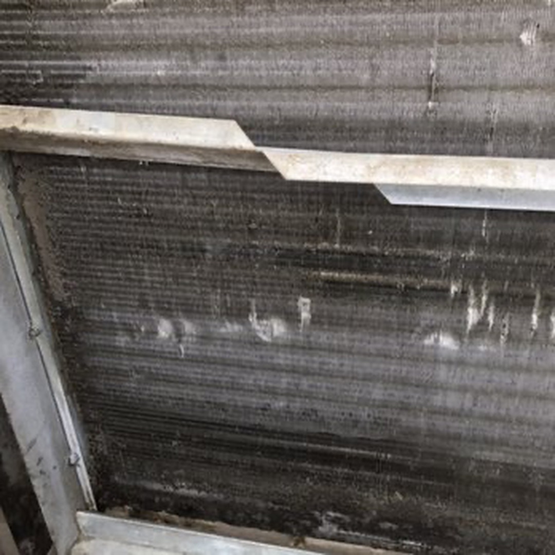 Delightful Duck Cooling and Heating Image