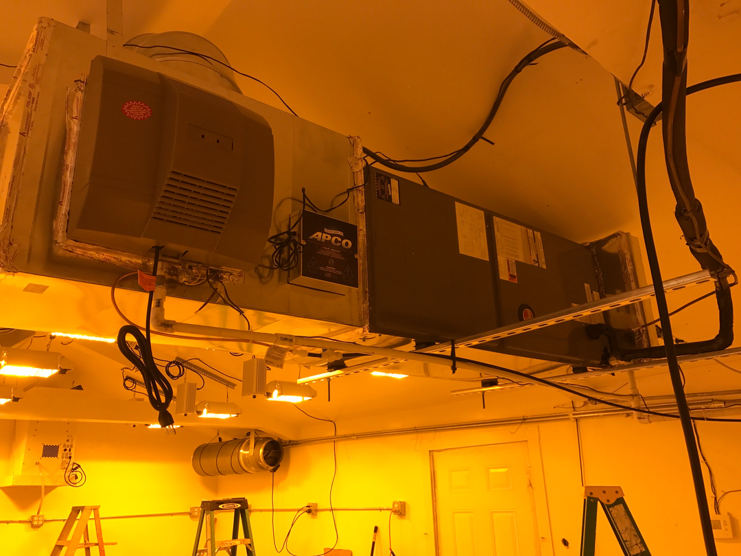 Delightful Duck Cooling and Heating Image