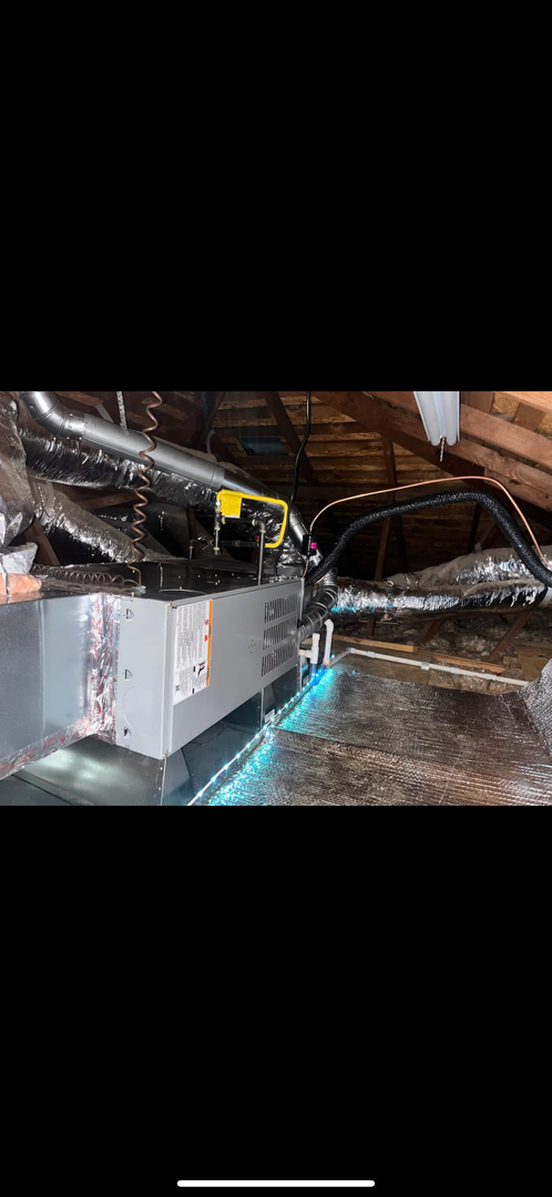 Delightful Duck Cooling and Heating Image