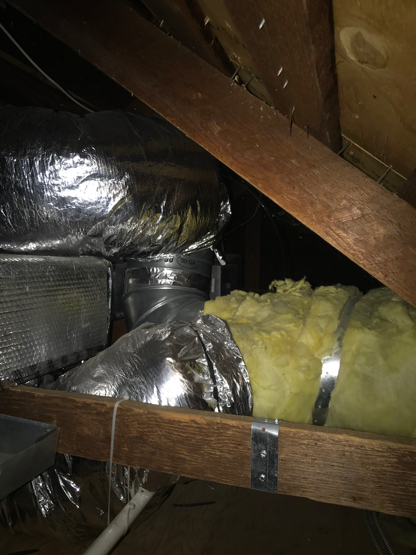 Delightful Duck Cooling and Heating Image