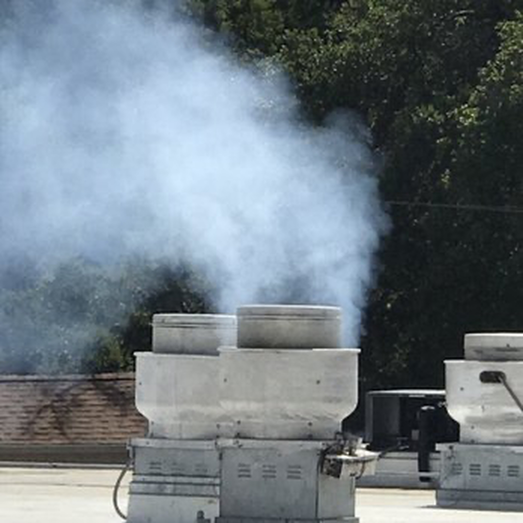 Delightful Duck Cooling and Heating Image