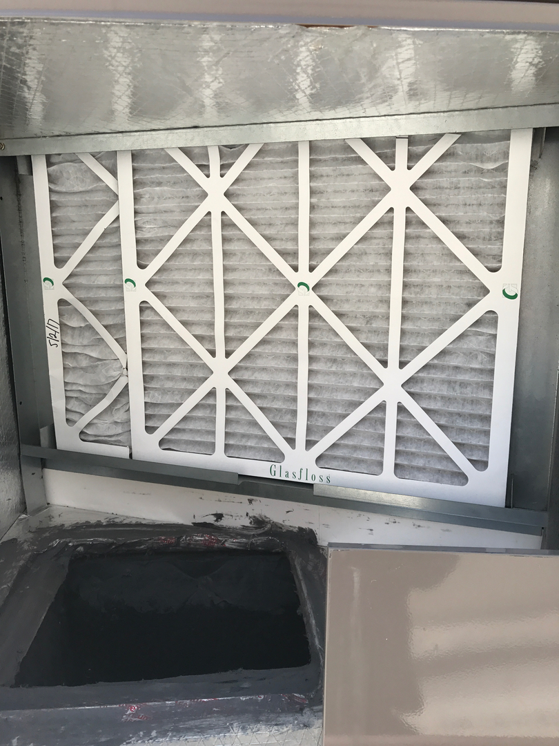 Delightful Duck Cooling and Heating Image