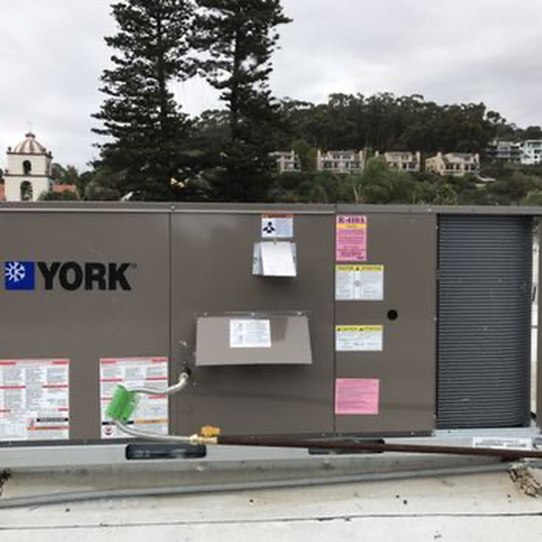 Delightful Duck Cooling and Heating Image