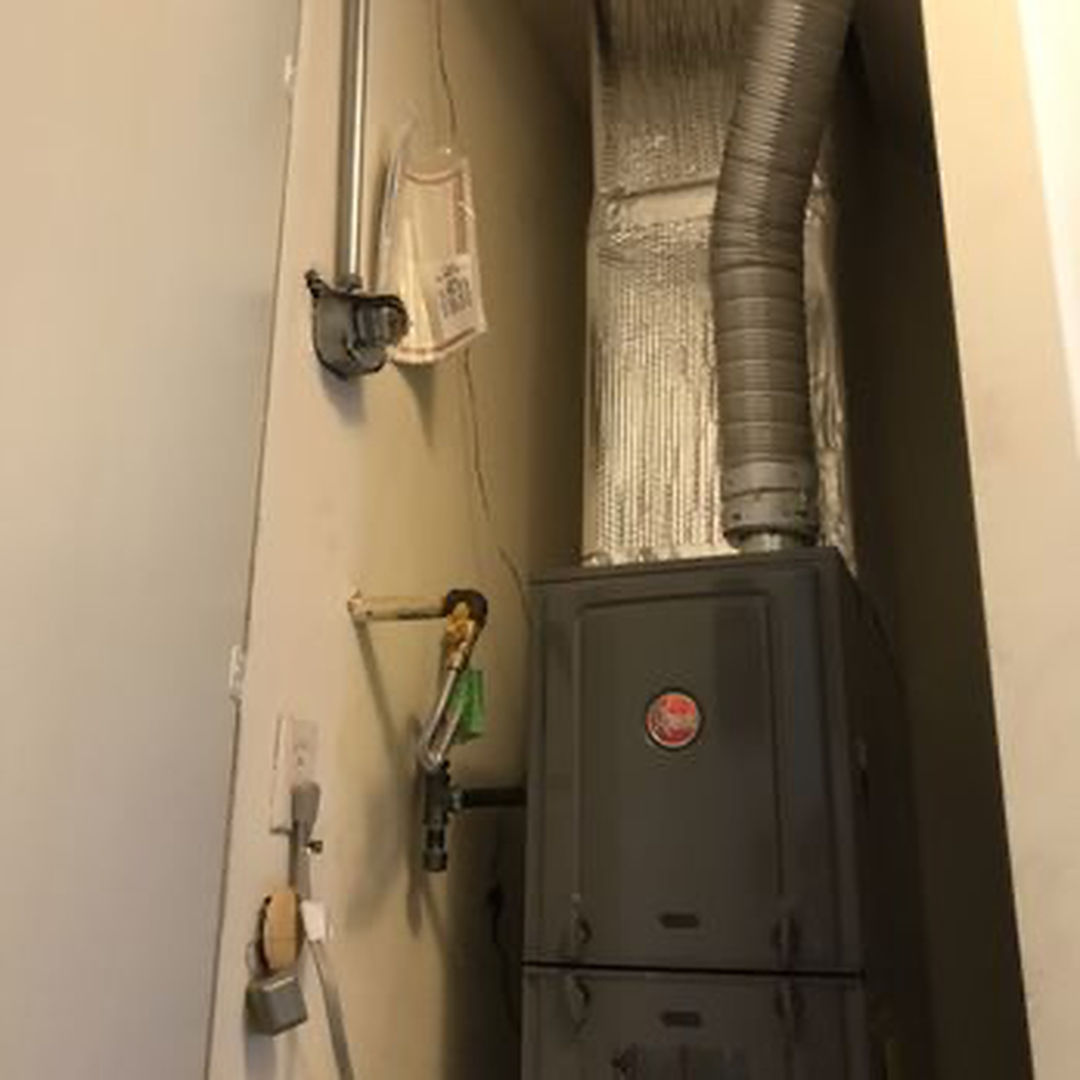 Delightful Duck Cooling and Heating Image