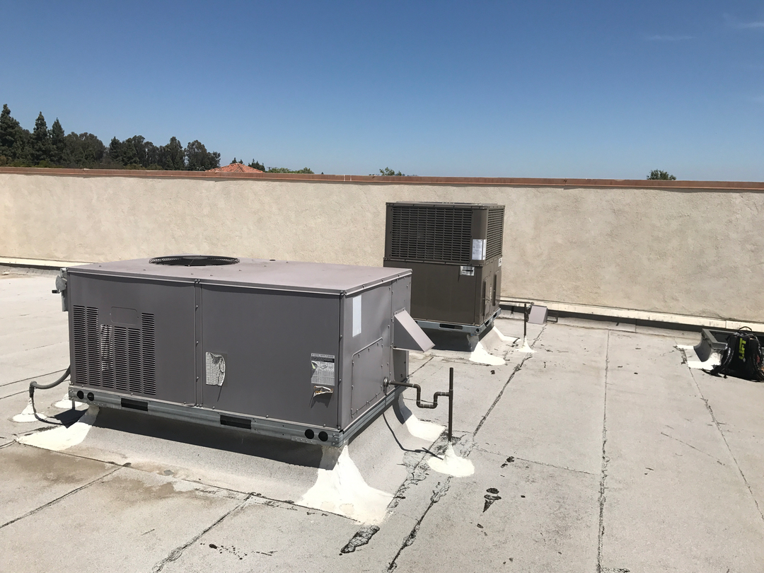 Delightful Duck Cooling and Heating Image