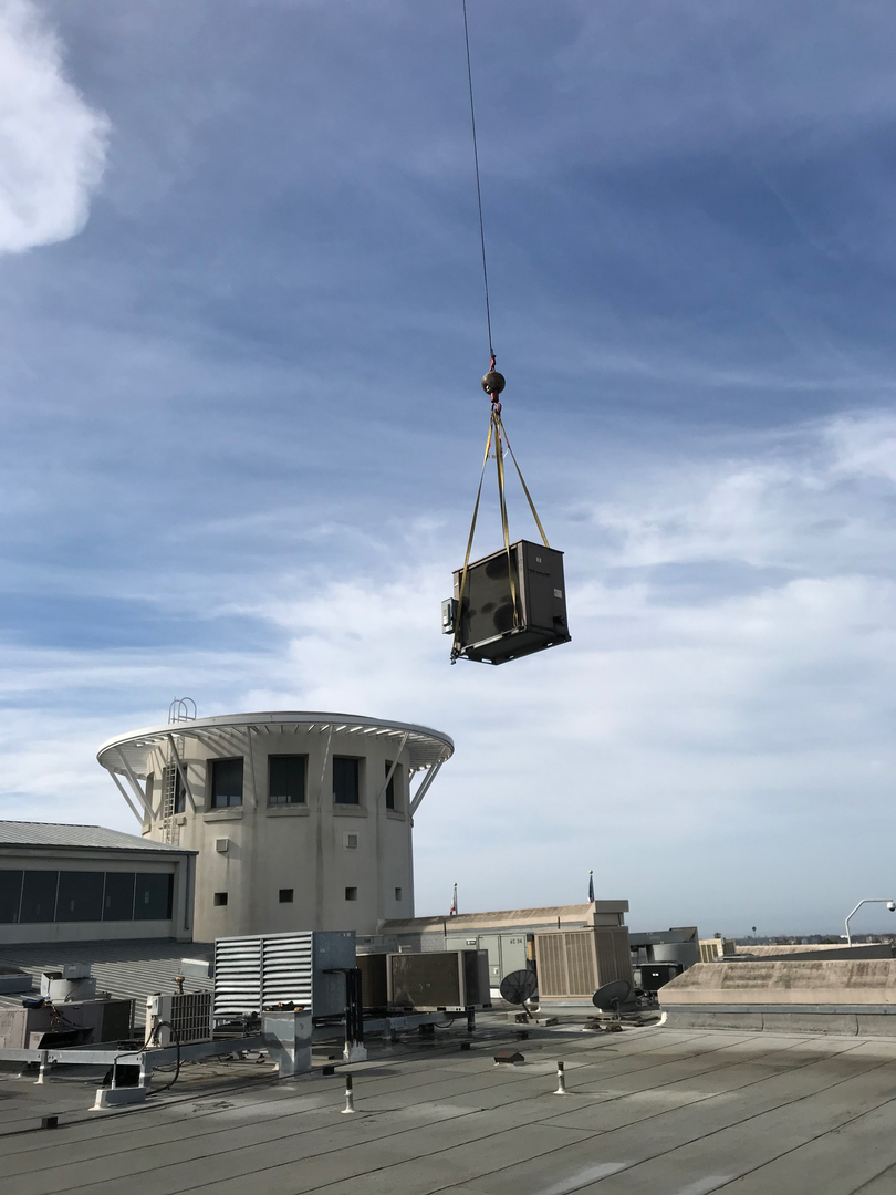 Delightful Duck Cooling and Heating Image