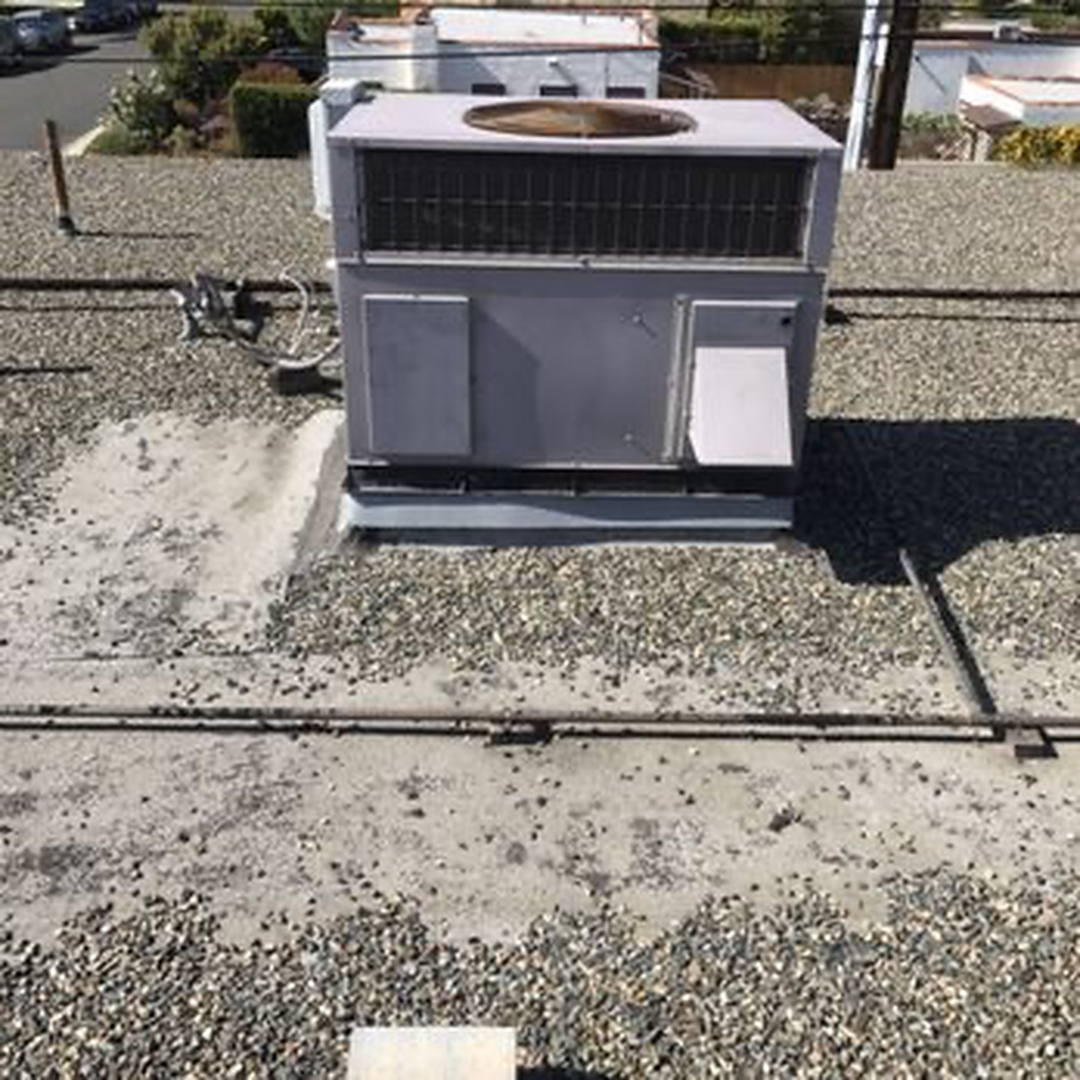 Delightful Duck Cooling and Heating Image