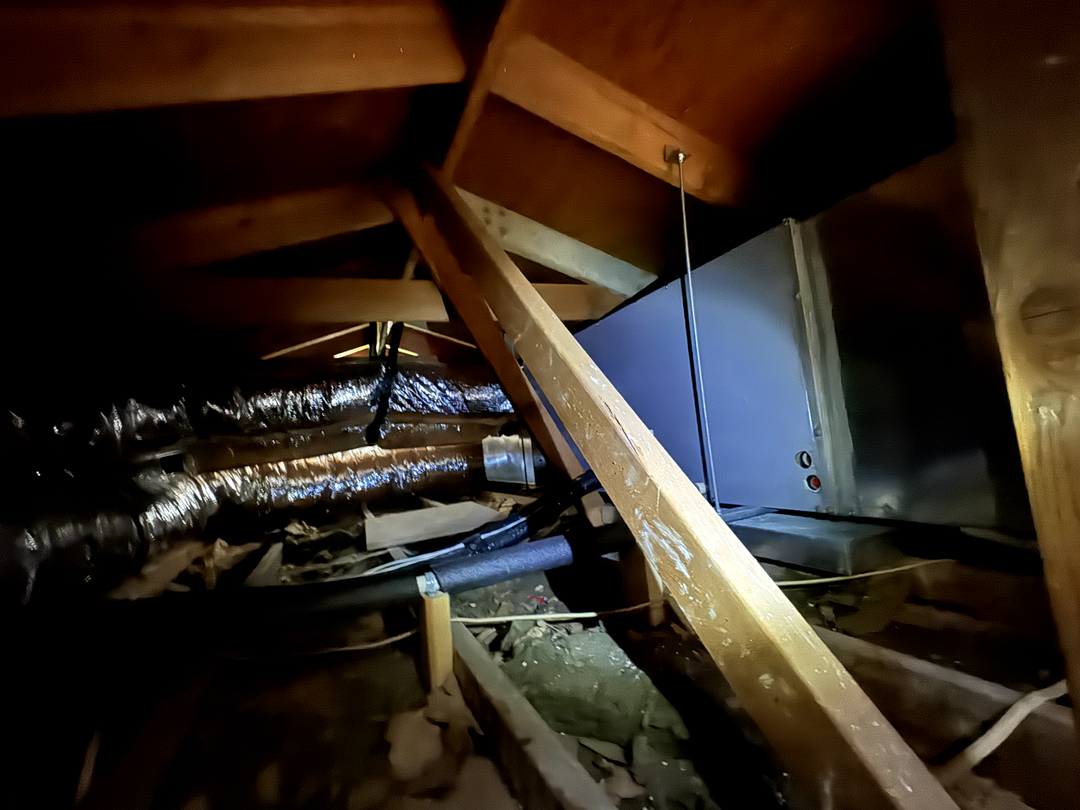 Delightful Duck Cooling and Heating Image