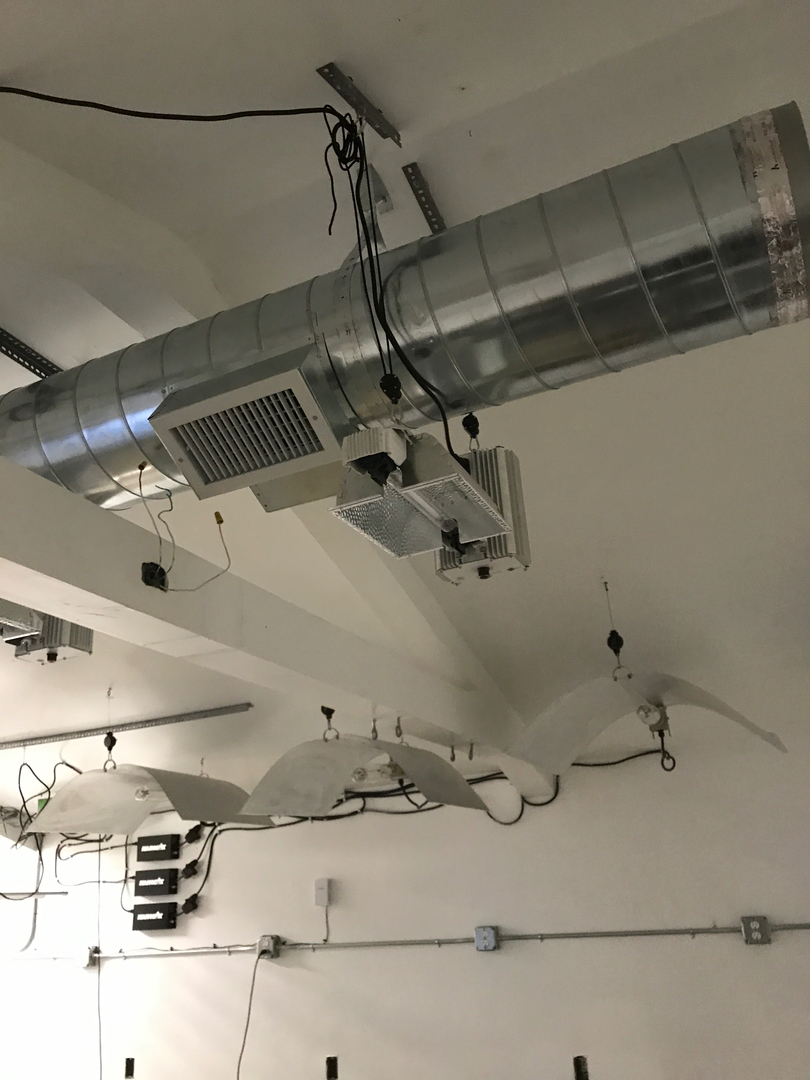 Delightful Duck Cooling and Heating Image