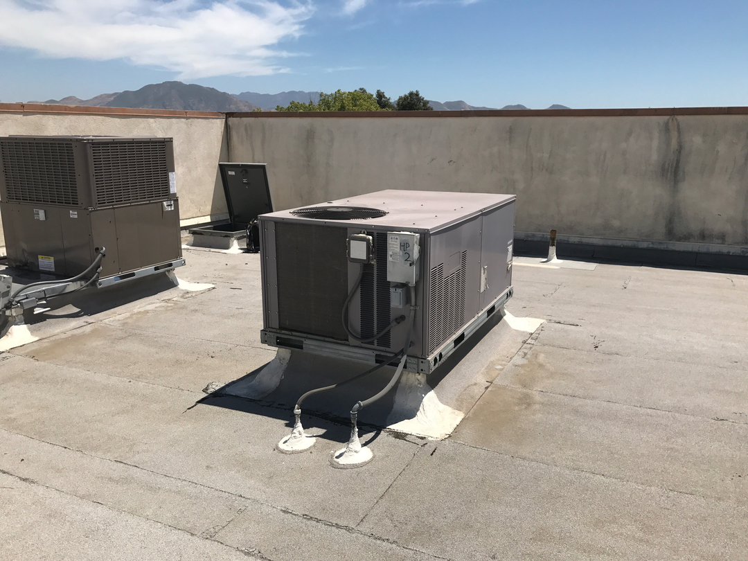 Delightful Duck Cooling and Heating Image