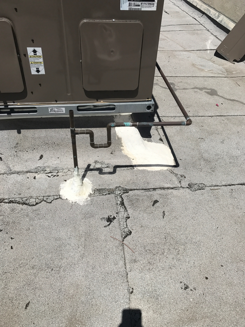 Delightful Duck Cooling and Heating Image