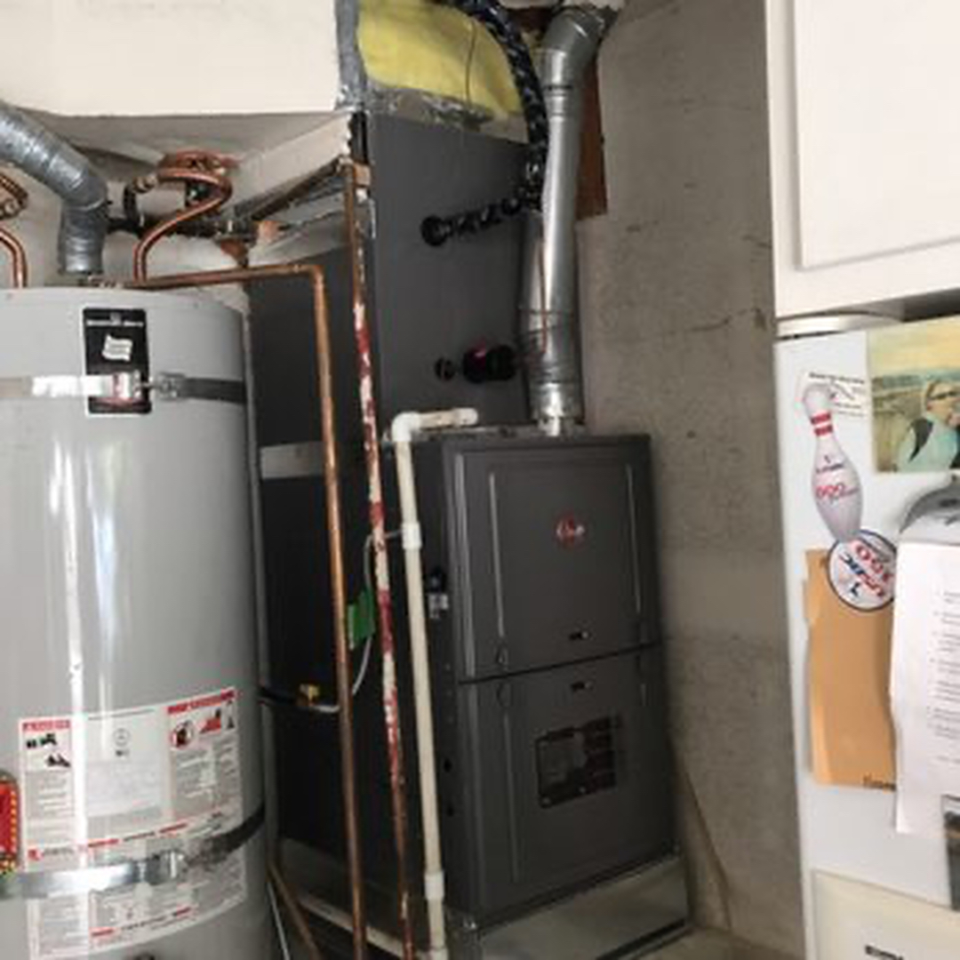 Delightful Duck Cooling and Heating Image